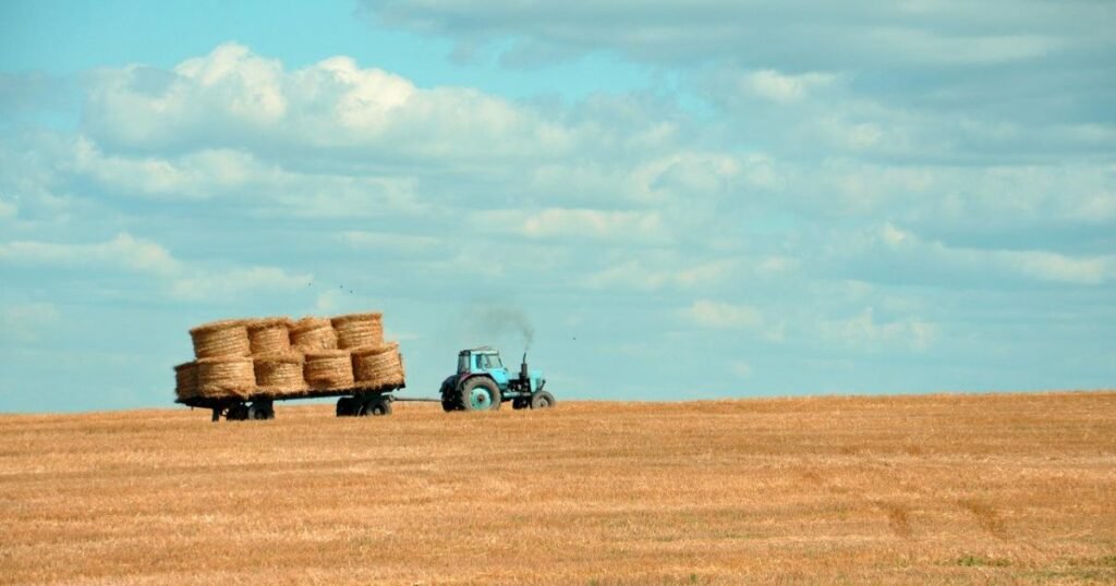 Opinion: Suffolk tenant farmers gear up for rent reviews