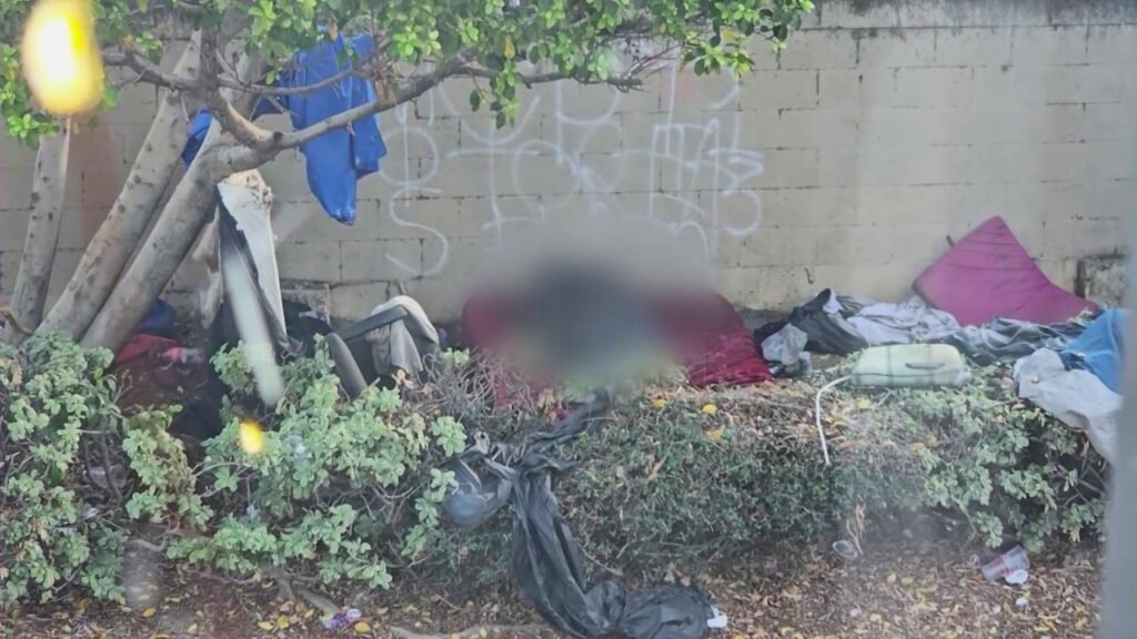 Studio City residents face lewd activity, harassment from homeless encampment