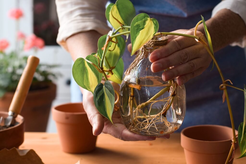 Sustainable Building and Community Garden Tour