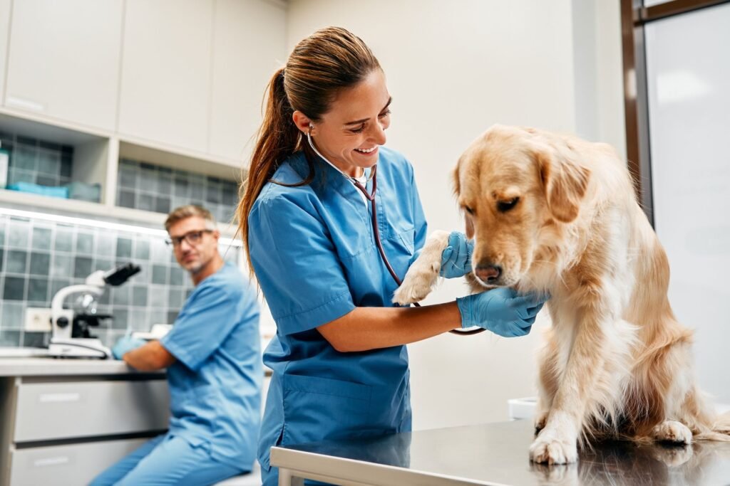 Veterinary property management company has acquired multiple clinics